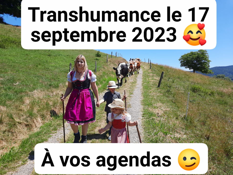 Transhumance